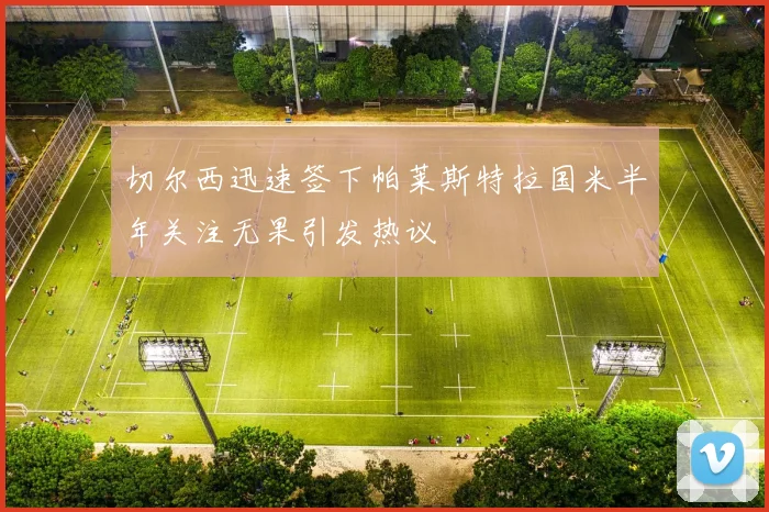 切尔西迅速签下帕莱斯特拉国米半年关注无果引发热议