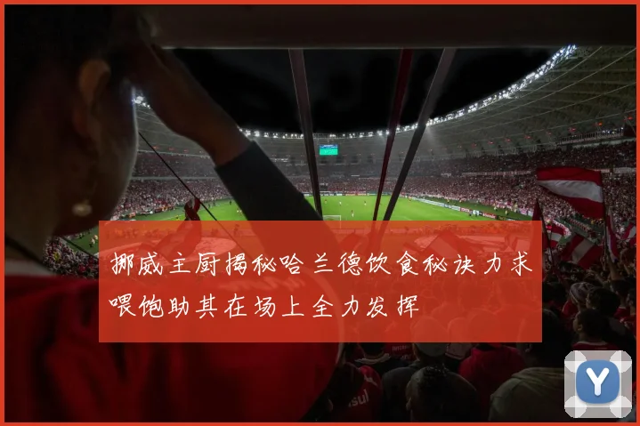 挪威主厨揭秘哈兰德饮食秘诀力求喂饱助其在场上全力发挥