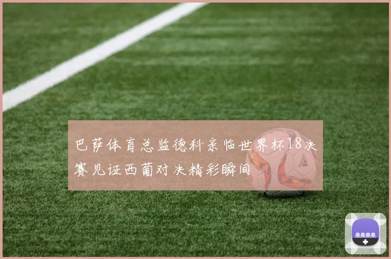 巴萨体育总监德科亲临世界杯18决赛见证西葡对决精彩瞬间