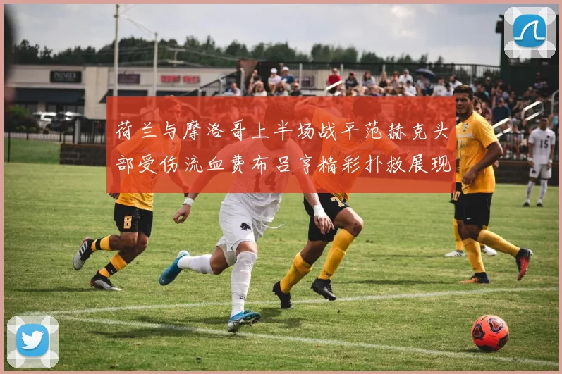 荷兰与摩洛哥上半场战平范赫克头部受伤流血费布吕亨精彩扑救展现实力