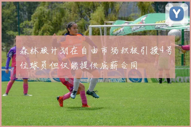 森林狼计划在自由市场积极引援4号位球员但仅能提供底薪合同