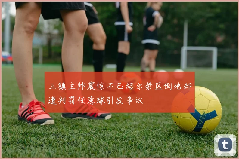 三镇主帅震惊不已绍尔禁区倒地却遭判罚任意球引发争议
